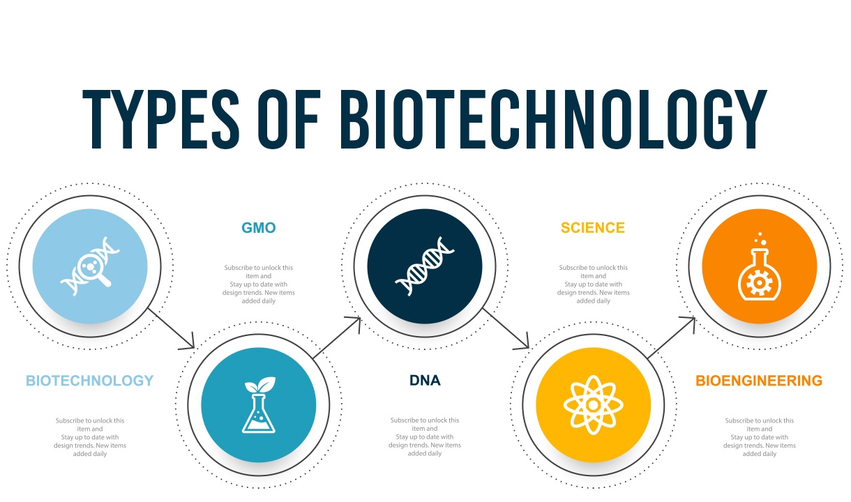 What are the 4 Types of Biotechnology